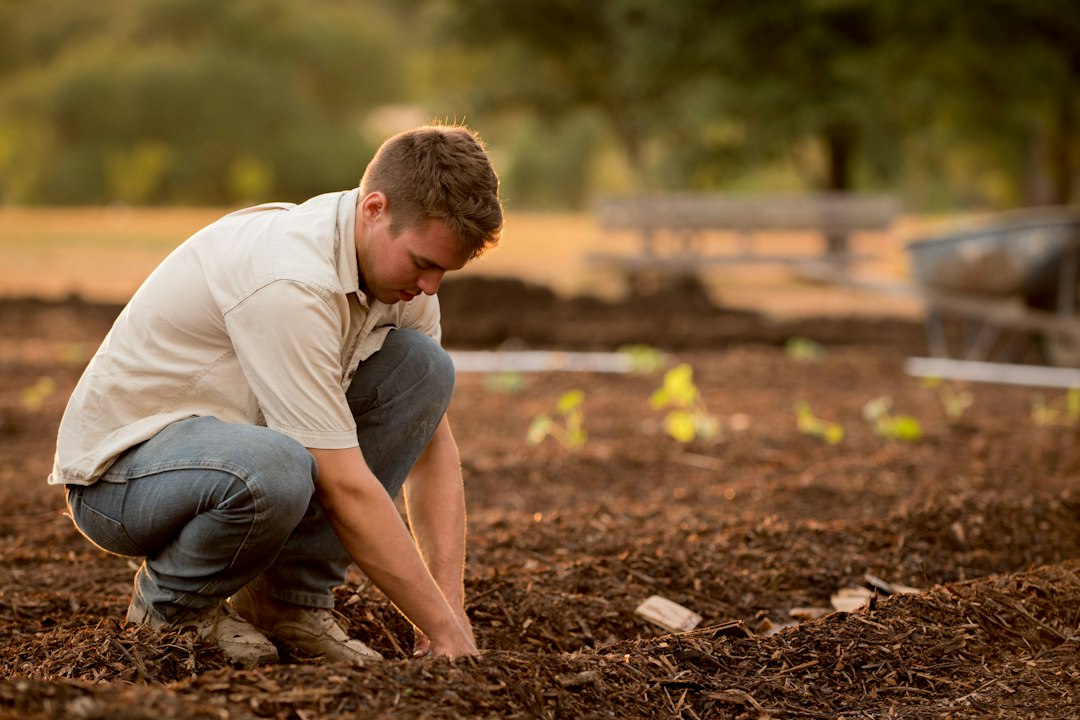 Travail au jardin