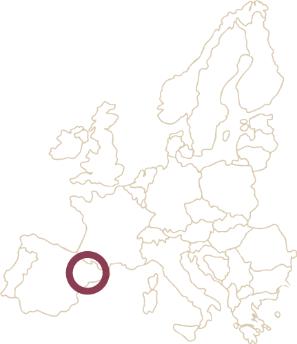 Cava Brut Il Lusio- Josep Masachs