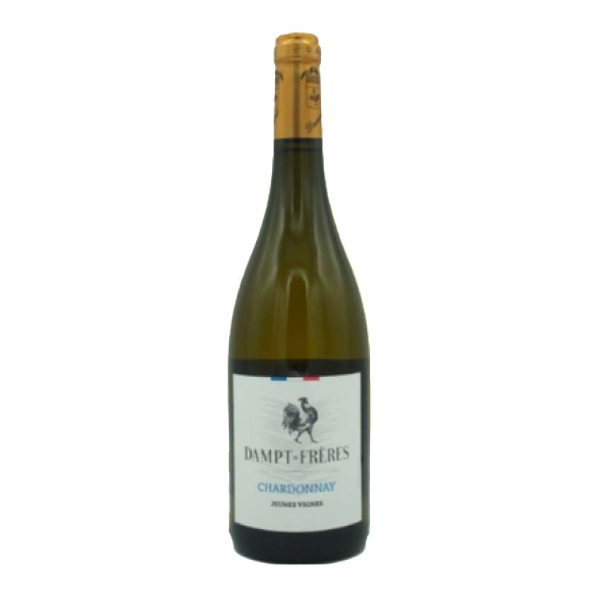 Chardonnay Jeunes Vignes- Vignoble Dampt Frères